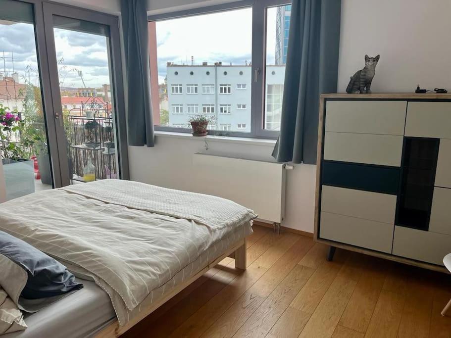 Apartment In Historical Center With Park View Plzeň Exteriör bild