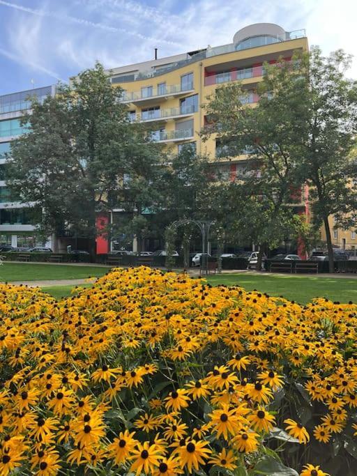 Apartment In Historical Center With Park View Plzeň Exteriör bild