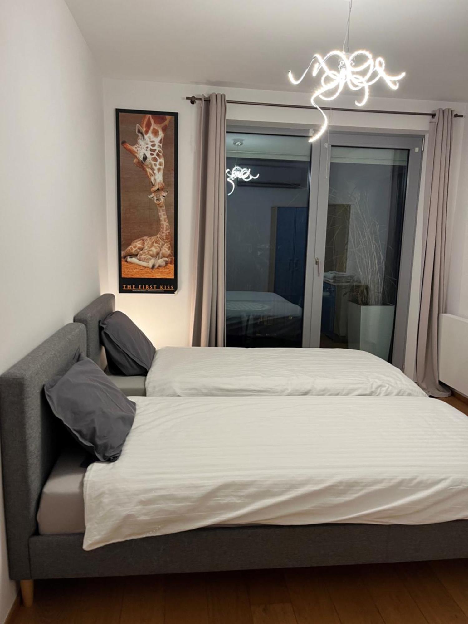 Apartment In Historical Center With Park View Plzeň Exteriör bild
